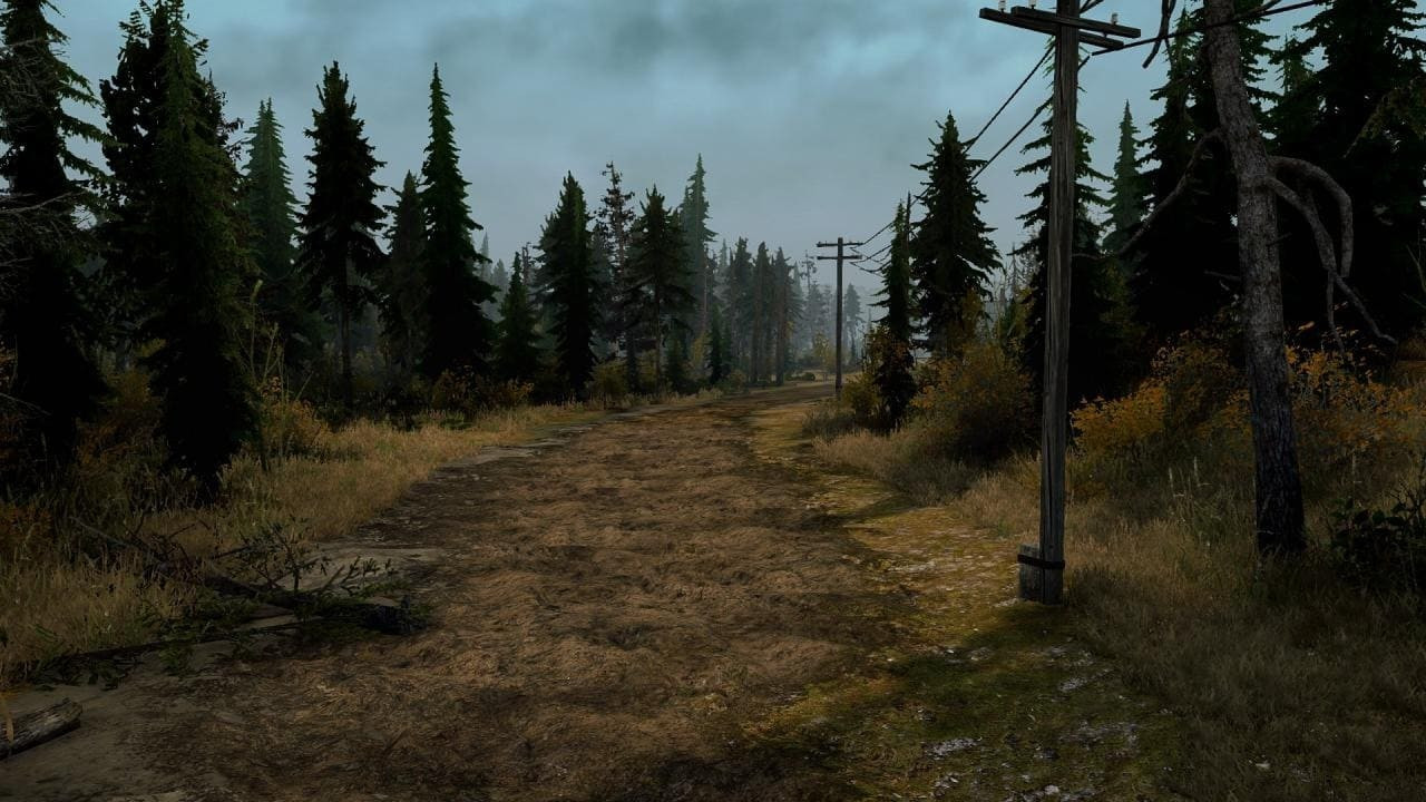 Dead Swamp